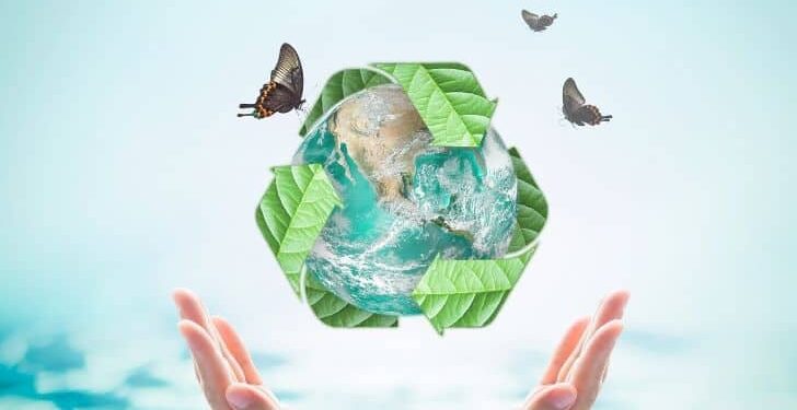 Live Sustainably